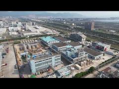 วิดีโอสั้น